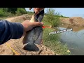 Download Lagu MANCING LIAR IKAN MUJAER DI TAMBAK⁉️ TERNYATA DISINI SARANG BABON