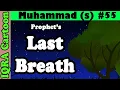 Download Lagu Episode Terakhir: Nafas Terakhir | Kisah Nabi Muhammad (saw) Ep 55 | Kartun Islami | Kisah Al-Quran