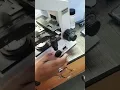 Download Lagu semen analysis!Microscopic examination sperms count sperm cell शुक्राणु परीक्षण 🔬