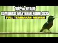 Lagu SUARA BURUNG KOLIBRI NINJA GACOR FULL TEMBAKAN MEWAH ISIAN LOMBA
