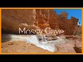 Mossy Cave Bryce Canyon National Park Utah The Frame