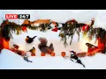 Download Lagu 🔴24/7 Christmas CAT TV 🎄NO ADS🎄 Little Birds, Red Squirrels and Snow Fun for all day long MP3