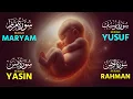 Surah Maryam, Yusuf, Imran, Ibrahim | Pregnancy Quran Recitaion | Muhammad Hejazi