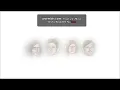 Don't Matter - Kings Of Leon [Lyrics]