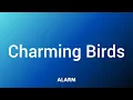 Download Lagu Charming Birds - Ultimate Alarm Tone | Good Morning Tones | Best Alarm Tone | FeeSou