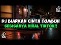 Download Lagu DJ BIARKAN CINTA TUMBUH SEBISANYA || DJ KARNA SU SAYANG JEDAG JEDUG MENGKANE VIRAL TIKTOK