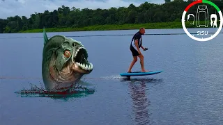 #156 Is PIRANHA Attacks a Myth? | Sailing Sisu Leopard 45 Catamaran