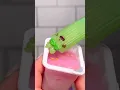 Let s Open an ULTRA RARE Num Noms Dipper