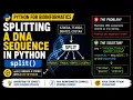 Splitting DNA Sequences in Python split Python for Bioinformatics