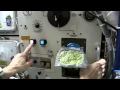 Download Lagu How to Cook Spinach In Space
