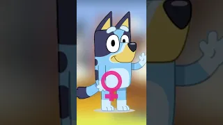 Is Bluey A Boy Or A Girl Shorts Bluey 