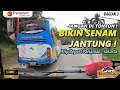 Download Lagu DRIVER PRO DIKASIH MESIN KENCANG BEGINI JADINYA I TRIP PO TRANSPORT PARIAMAN - JAKARTA (3/10)