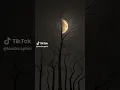 Download Lagu #runwaysong #tiktokvideo