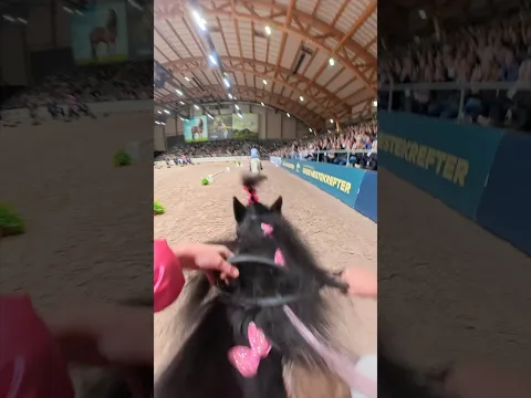 POV: RACING AT NORWAY’S BIGGEST HORSE SHOW😱 #shorts #funny #pony #horse