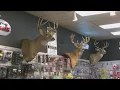 NY launches Earn-a-2nd-Buck program for deer control