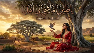 إيمان المغربية   يا طير يا ماشي لي أهلنا                                                             دندنها