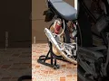 Download Lagu Story wa. Tiger trondol terbaru