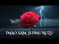 Download Lagu Imao Sam Jednu Ružu 🌹| Sevdah Rock Metal Cover 🎸