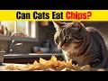 Can cats eat chips