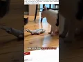 The Birth of LiveLeak The Internet s Dangerous Side