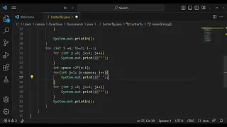 Butterfly Pattern in Java Easy Pattern Program Explained
