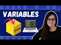 What is a Variable Programming Basics