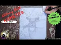 Drawing a Majestic Deer Free Downloadable Coloring Page with Deer Facts