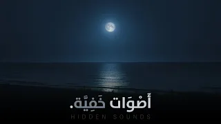 تلاوات خفية من قر اء لم تسمع عنهم من قبل 