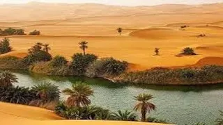 مريم السعفى التحبريش الواحة 2 