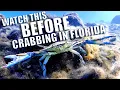 BEFORE YOU GO CRABBING IN FLORIDA WATCH THIS Florida Blue Crab Regulations that may SURPRISE YOU