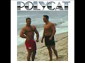 เวลาเธอยิ้ม (You Had Me At Hello) (Extended Version) - POLYCAT
