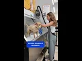 Wash Wednesdays at Pet Supermarket