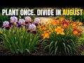 Divide These in AUGUST 11 Fast-Spreading Perennials for a LUSH Landscape All Year Round