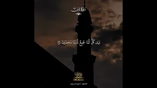  للقارئ هاني العزوني   سورة يس كاملة دندنها