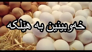 خەوبینین بە هێلکە Dream Reading In Kurdish 