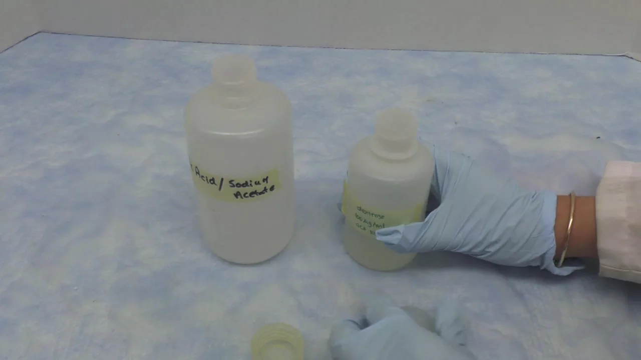 Lab Etiquette