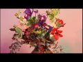 Download Lagu Herbert - Silence (Official Video)