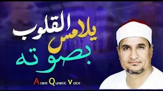 الزمر وغافر من إيران وإبداع الشيخ محمد عبدالوهاب الطنطاوي 