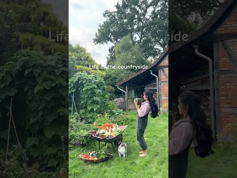 Harvest with me 🌿