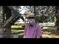 Interviews at the Willits CA BLM demonstration on May 31 2020