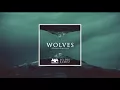 Marshmello \u0026 Selena Gomez - Wolves (Djindo Bootleg)