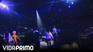 DON OMAR DANZA KUDURO HECHO EN PUERTO RICO 