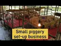 Small to medium size pig farm business set-up Piggery business Baboyan