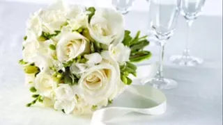 احمد دعسان نورتى 2 YouTube 