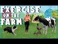 Farm Animal Exercise Indoor Workout for Children No Equipment Needed PE Lesson for Kids