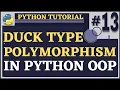 Duck Typing Python Tutorial for Beginners Python