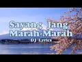 Download Lagu DJ Sayang Tolong Jang Marah-Marah By DJ OPUS | DJ Lyrics