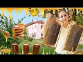 Download Lagu Jeta në fshat - Vjelja e Mjaltit - Albania Village Life - Honey Harvest of the Year