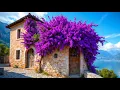 Download Lagu Bougainvillea-dromen in Sirmione - de meest romantische stad van Italië