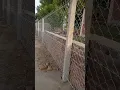 Download Lagu fencing chain link, 6 feet height, 9877357321